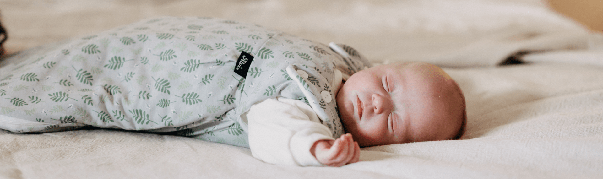 ALVI Baby Mäxchen Header 2024