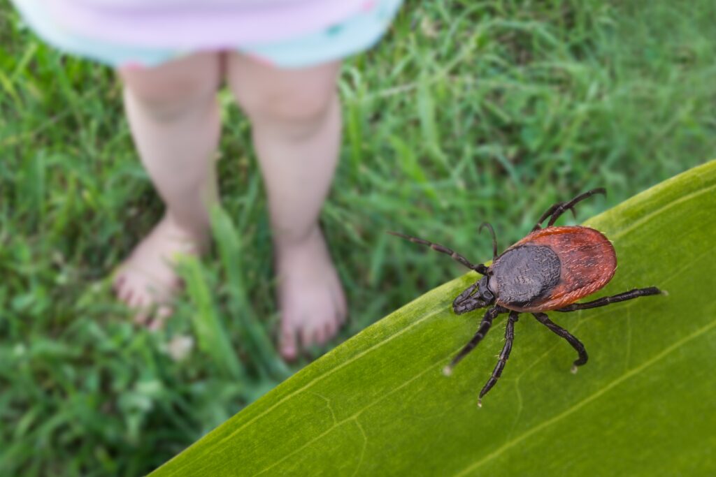 Eltern verwenden Insektenspray auf der Haut ihrer Kinder im Freien – Zeckenschutz Familie mit natürlichem Insektenschutzmittel im Freien.