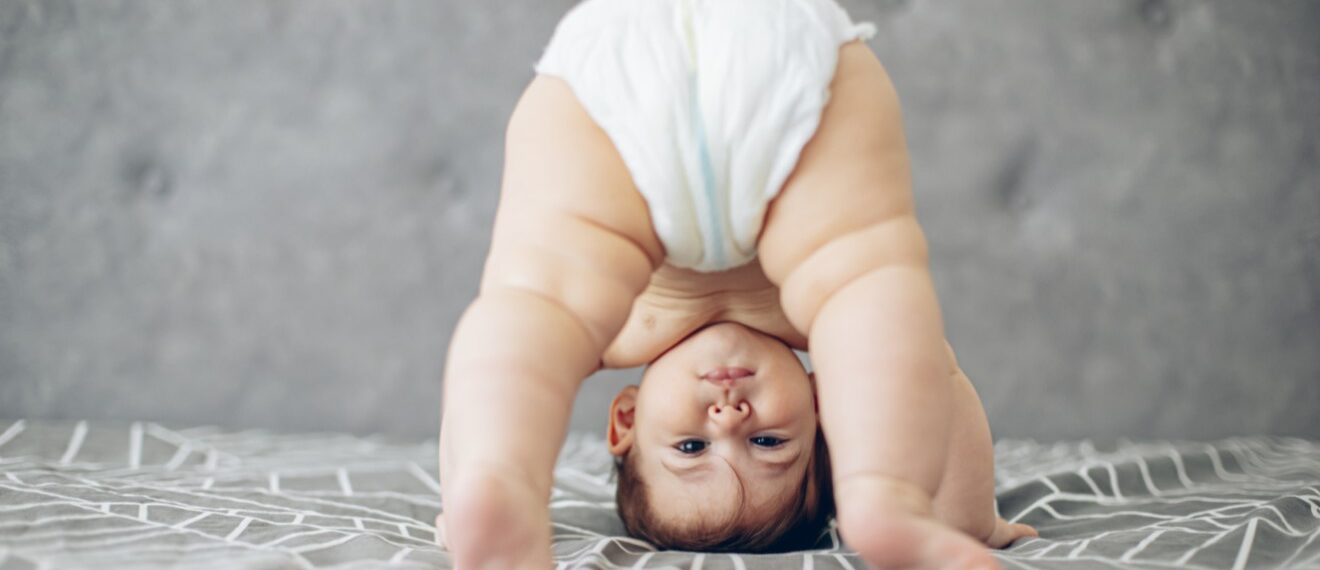 Rossmann Gr. 1+2 Moodbild