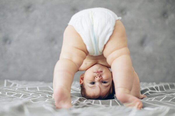 Rossmann Gr. 1+2 Moodbild