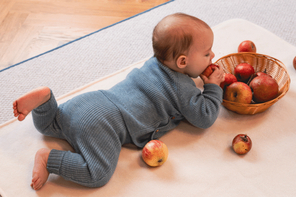 FAMILY Melima 2025 1500x1000_