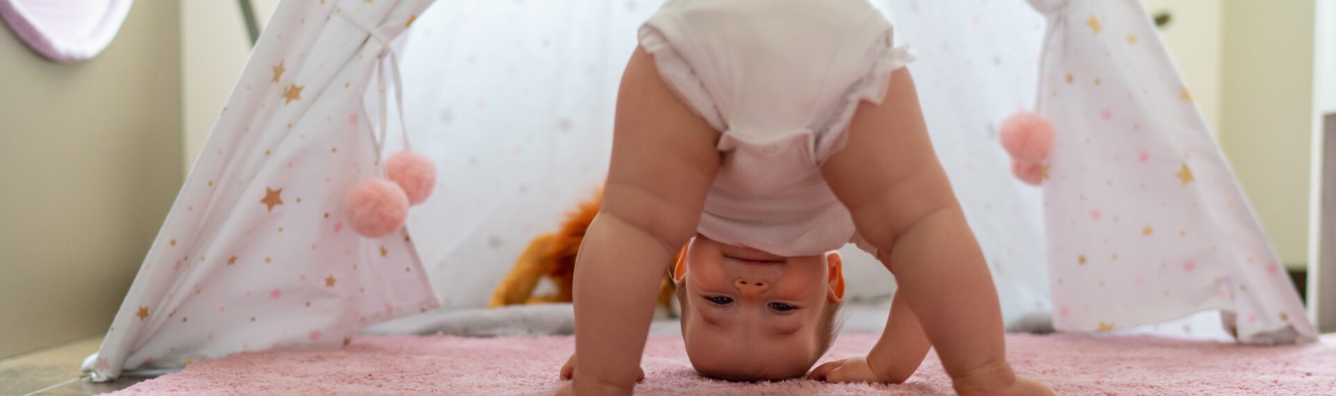 Moodbild für die dm babylove Ölö Windeln
