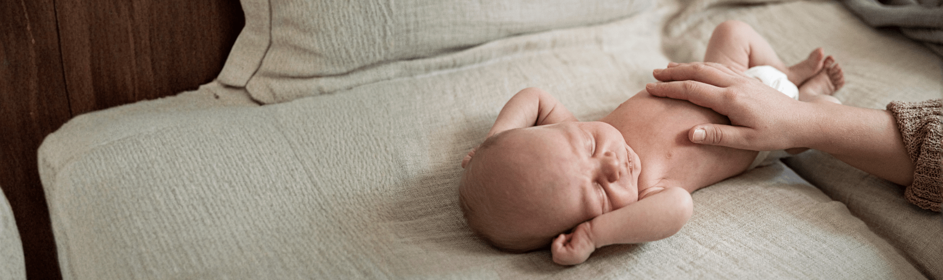 BiGaia Header Produkttest